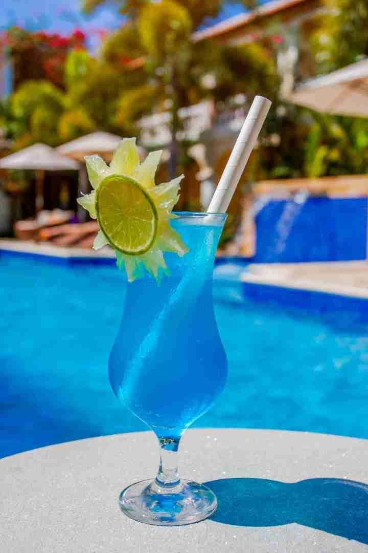Beija Flor Jijoca de Jericoacoara